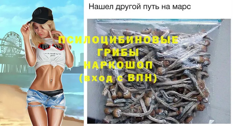 где можно купить наркотик  гидра вход  Галлюциногенные грибы Magic Shrooms  Медынь 